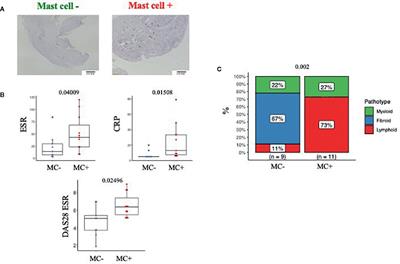 Persistence of Mast Cell-Positive Synovitis in Early Rheumatoid Arthritis Following Treatment With Conventional Synthetic Disease Modifying Anti-Rheumatic Drugs